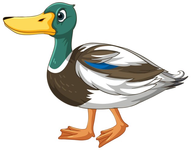 Personnage de dessin animé mignon canard sur fond blanc