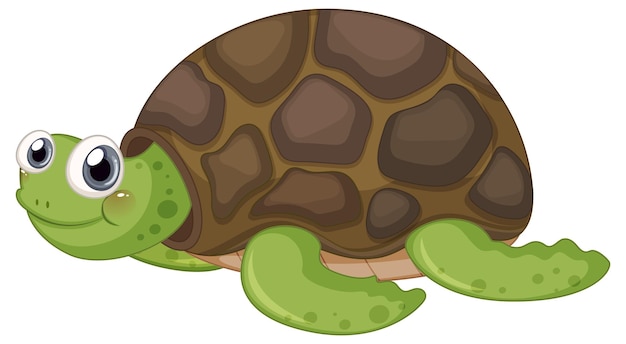 Vecteur gratuit personnage de dessin animé mignon tortue sur fond blanc