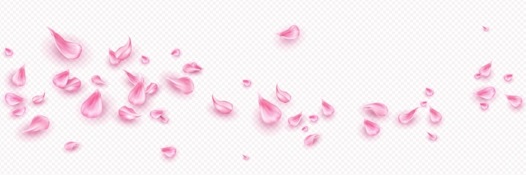 Vecteur gratuit les pétales de fleurs roses volent