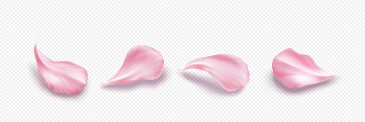 Vecteur gratuit pétales de sakura roses à l'arrière-plan de la station balnéaire