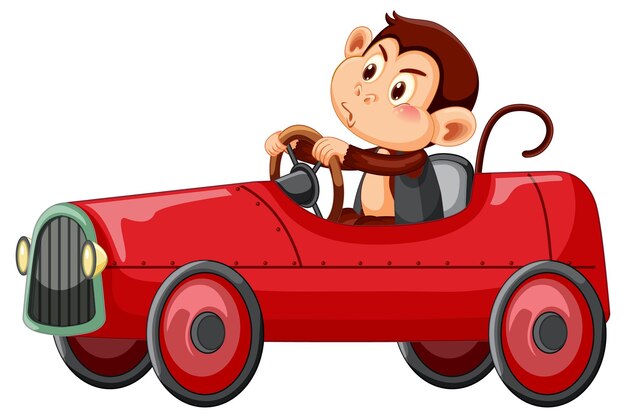 Petit singe conduisant une voiture de course rouge sur fond blanc