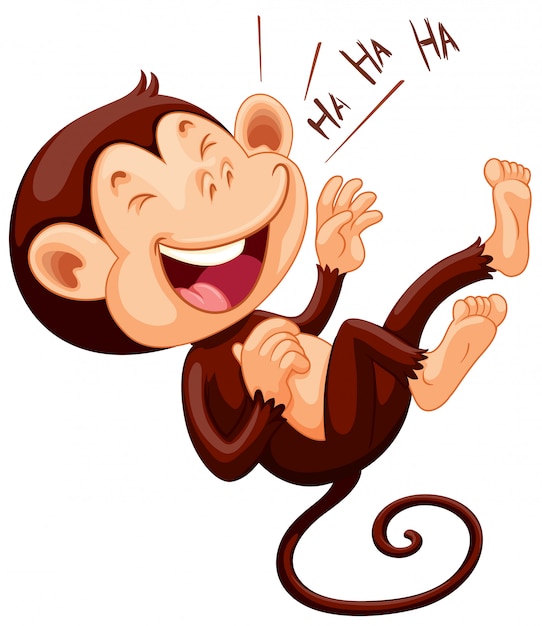 Petit Singe Rire Seul