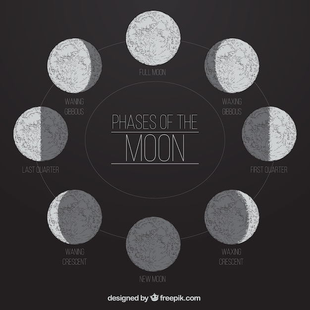 Les phases de la lune dans le style dessiné à la main