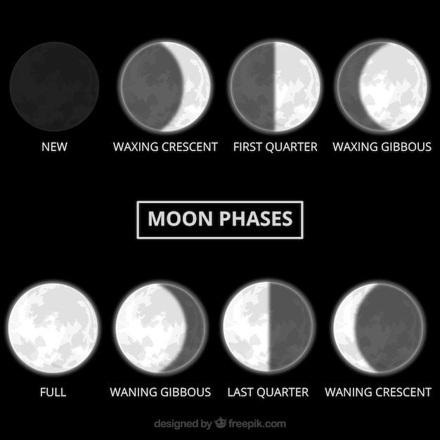 Vecteur gratuit phases de lune réalistes