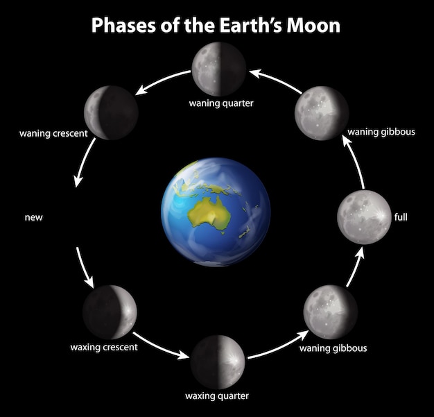 Phases de la lune terrestre