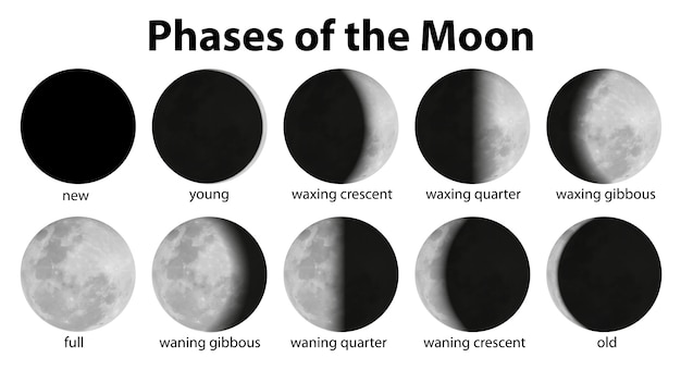 Les Phases De La Lune