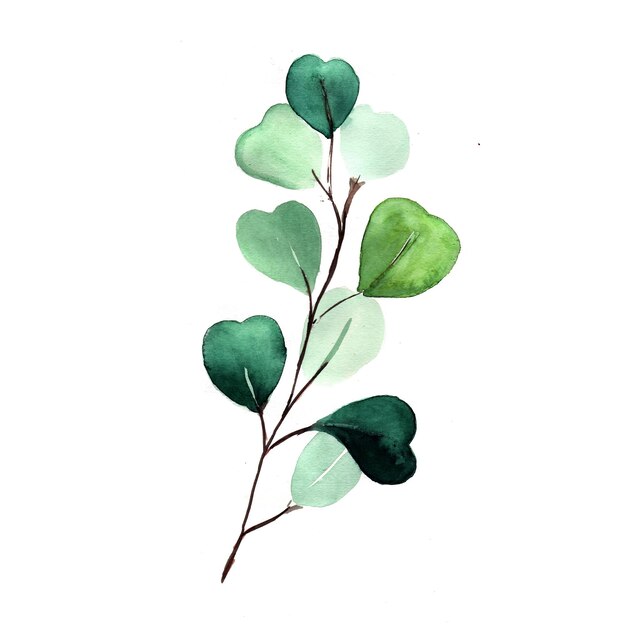 Photo gratuite de haute résolution d'illustration de fond aquarelle verte élément feuille abstraite