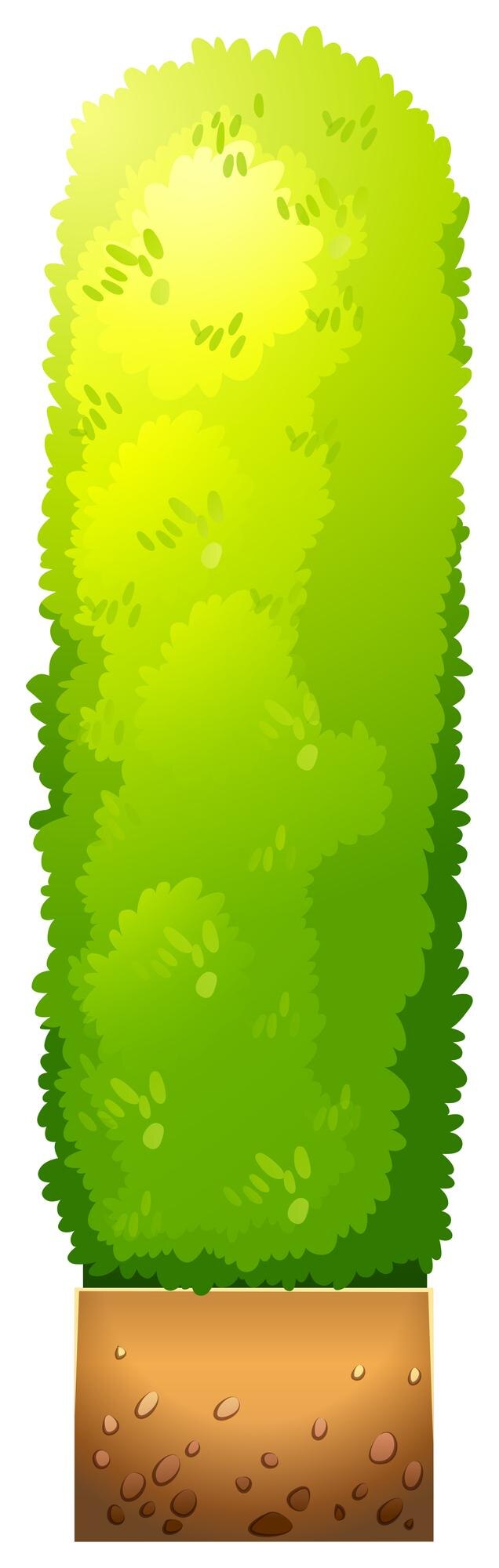 Vecteur gratuit une plante décorative verte