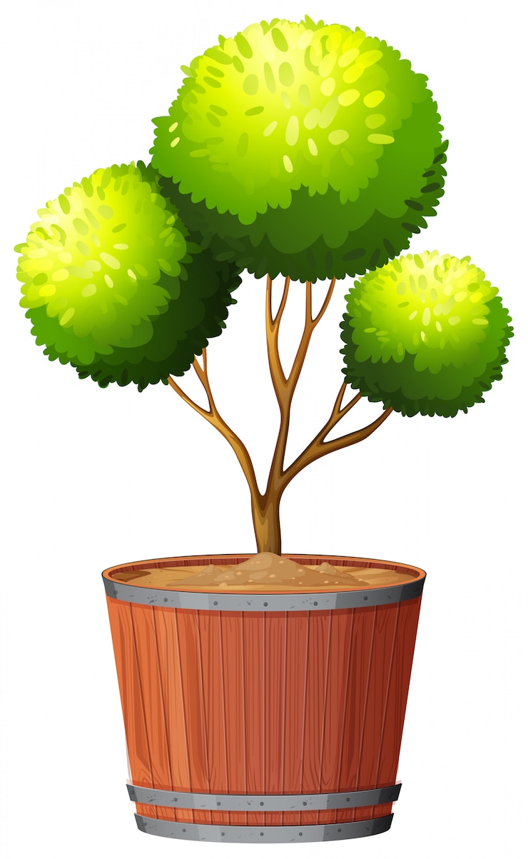 Vecteur gratuit plante en pot avec sol isolé