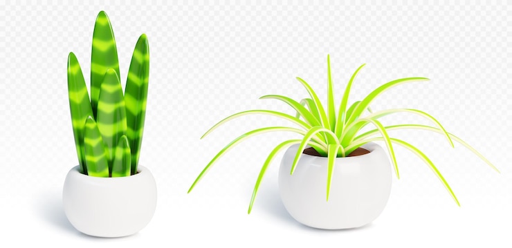 Vecteur gratuit plante verte de maison 3d réaliste dans une illustration de pot
