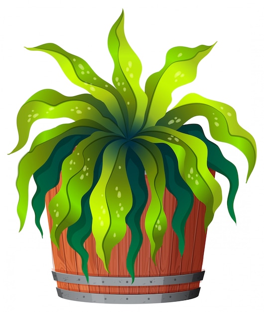 Vecteur gratuit une plante verte en pot