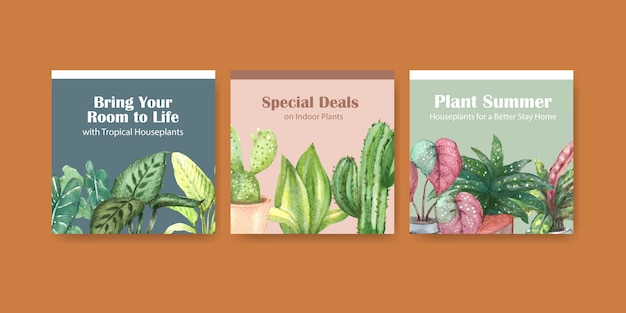 Vecteur gratuit les plantes d'été et les plantes d'intérieur annoncent la conception de modèles d'illustration aquarelle publicitaire