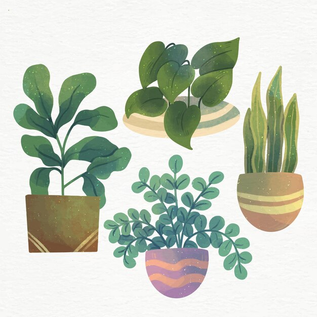 Plantes d'intérieur à l'aquarelle peintes à la main