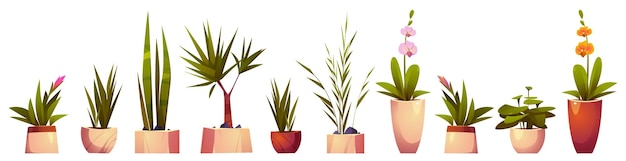 Vecteur gratuit plantes d'intérieur et fleurs en pots