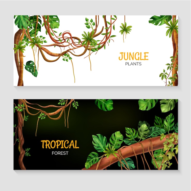 Vecteur gratuit plantes de jungle de la forêt tropicale humide sertie de liana monstera isolé