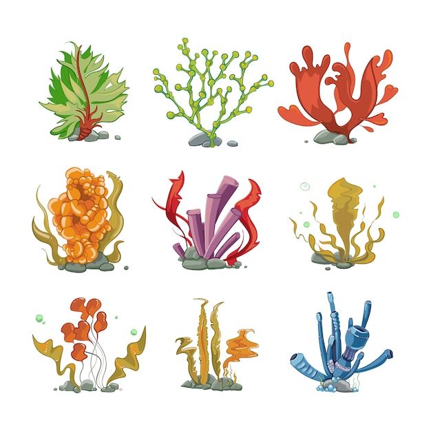 Plantes sous-marines dans le style de vecteur de dessin animé. Vie de l'océan, mer sous-marine, illustration d'algues nature
