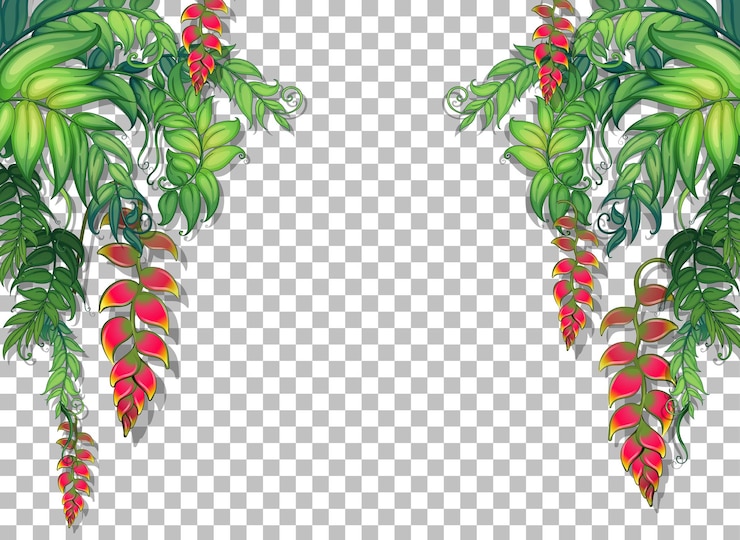Vecteur gratuit plantes tropicales et feuilles sur transparent