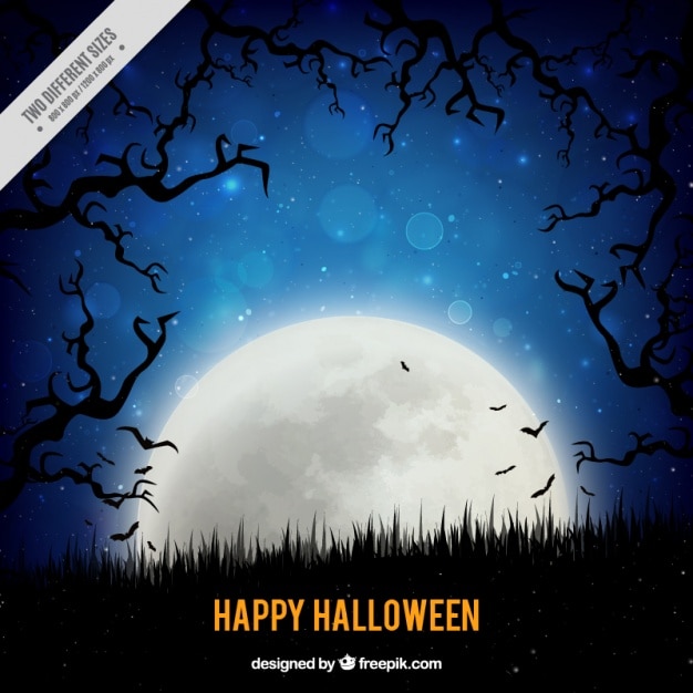 Vecteur gratuit pleine lune pour un halloween heureux