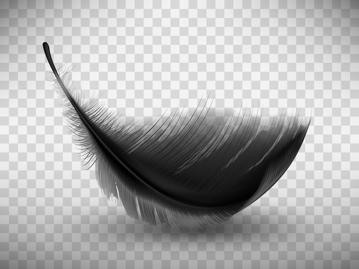 Vecteur gratuit plume duveteuse noire avec une ombre réaliste