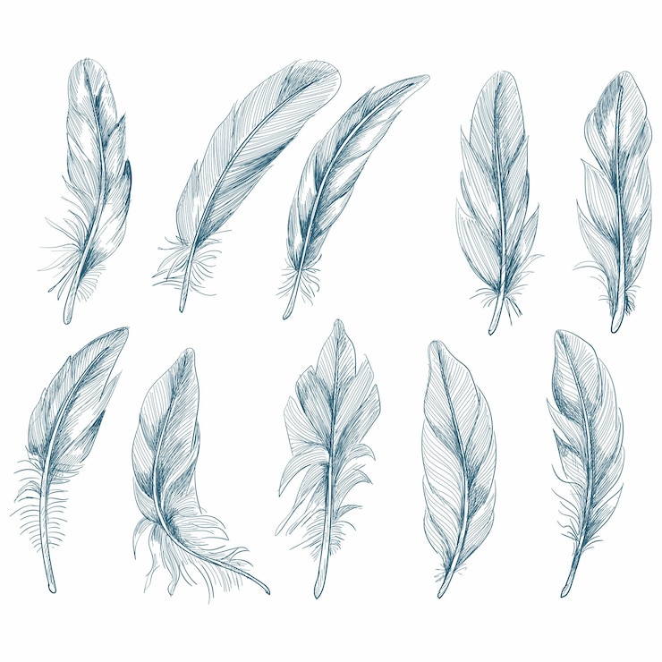 Vecteur gratuit plumes dessinées à la main sur fond blanc