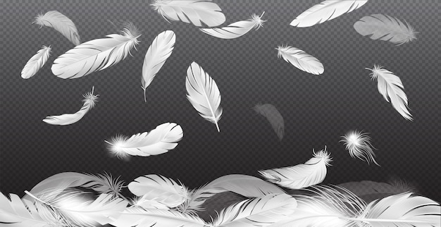 Vecteur gratuit plumes réalistes tombant composition avec fond transparent et plumes blanches tombant avec différentes transparences et illustration vectorielle de forme