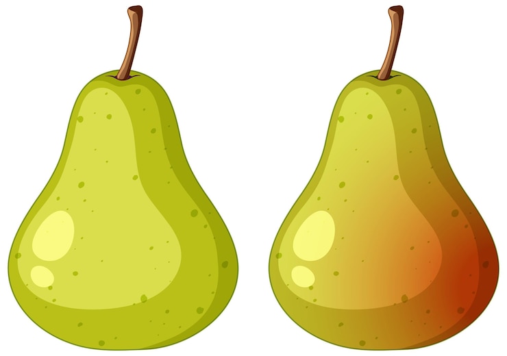 Vecteur gratuit poire mûre et poire verte