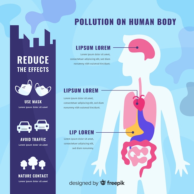 Pollution Sur Le Corps Humain Infographique