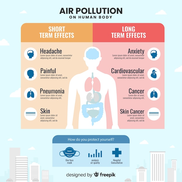 Pollution Sur Le Corps Humain Infographique