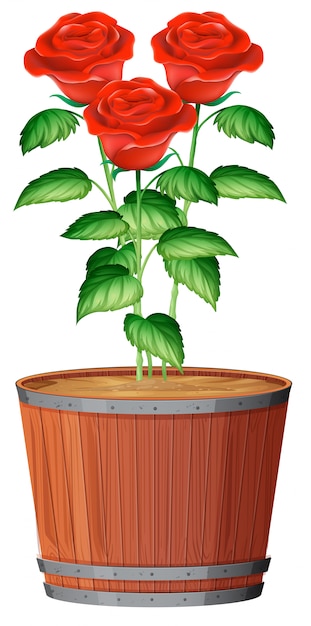 Vecteur gratuit un pot de plante rose