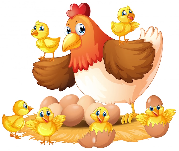 Vecteur gratuit poule et poussins au nid