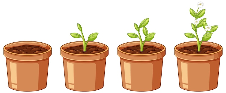 Vecteur gratuit le progrès des plantes un pot de croissance
