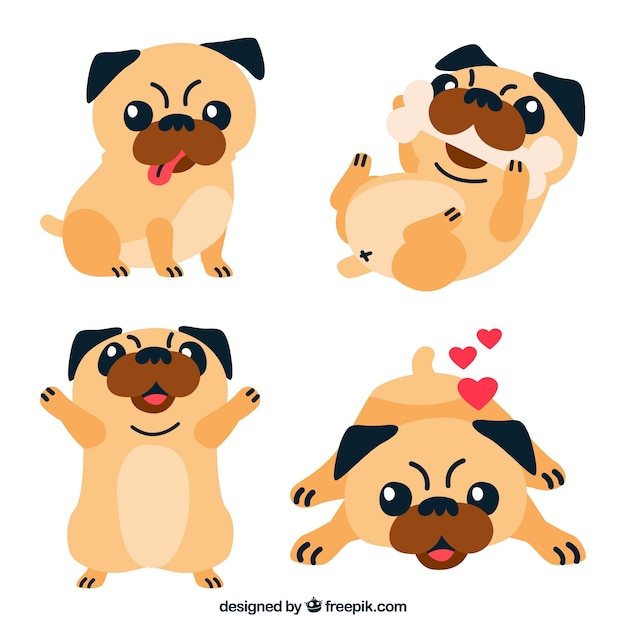 Pugs Drôles Avec Un Design Plat