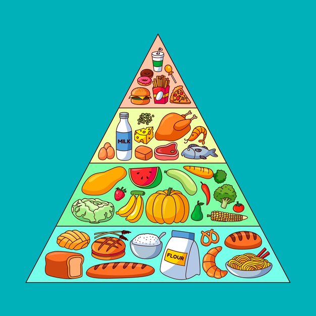 Pyramide alimentaire avec différents aliments pour différents niveaux