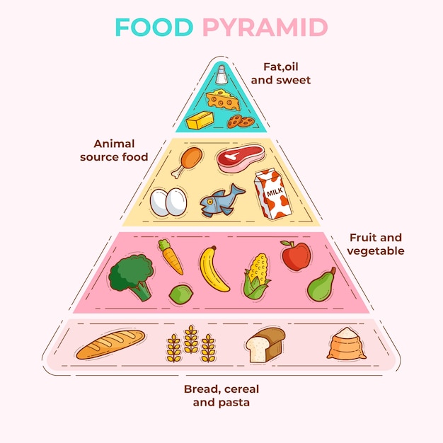 Pyramides Alimentaires Essentielles Pour Une Bonne Nutrition