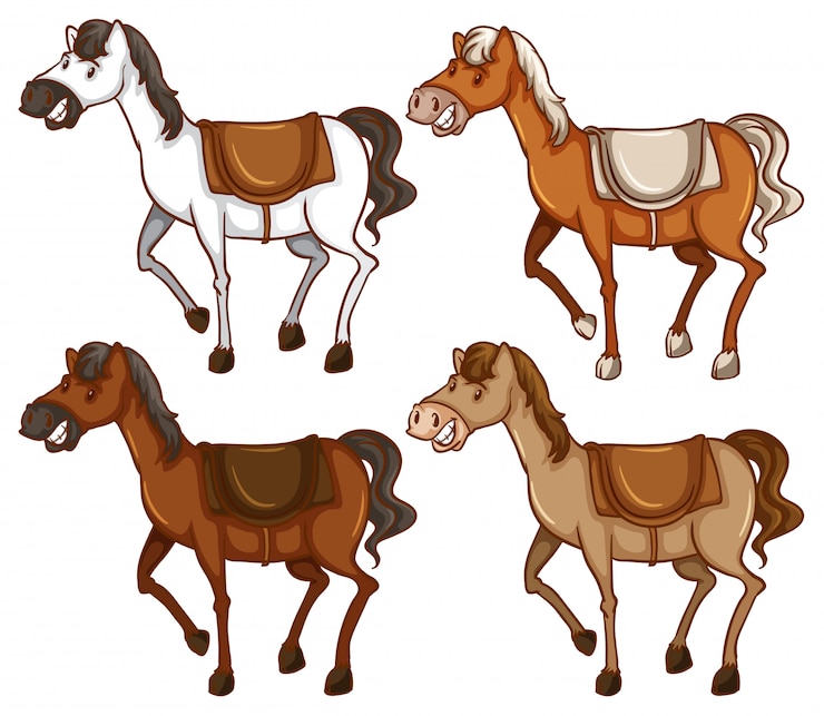 Vecteur gratuit quatre chevaux