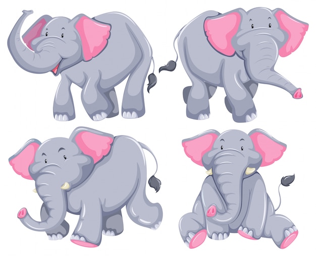 Quatre éléphants Dans Différentes Poses