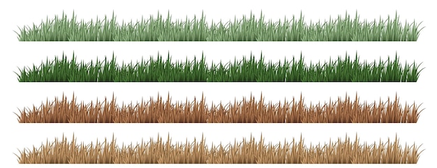 Vecteur gratuit quatre ensembles d'herbe de couleur différente