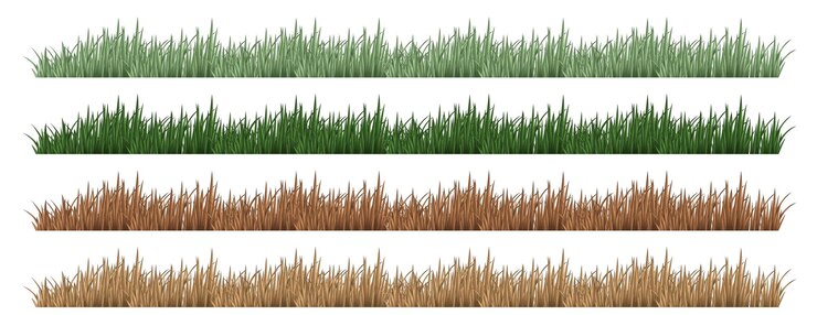 Vecteur gratuit quatre ensembles d'herbe de couleur différente