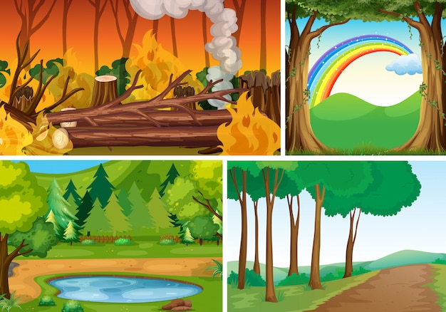 Quatre scènes de catastrophes naturelles différentes de style cartoon forestier