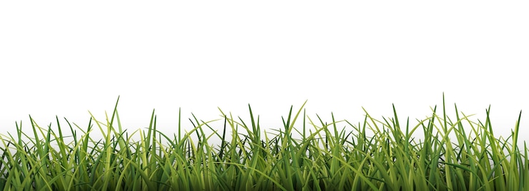 Vecteur gratuit réaliste fond d&#39;herbe