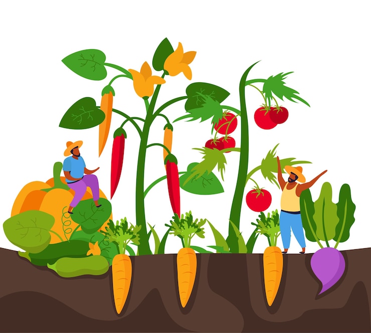 Vecteur gratuit récolte d'arrière-plan plat avec vue de profil de la plantation avec des poivrons, des tomates et des carottes avec une illustration de personnages humains
