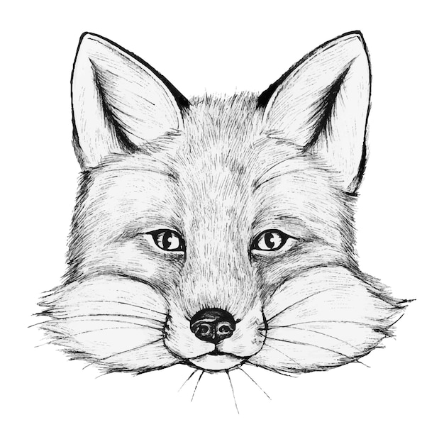 Renard dessiné à la main