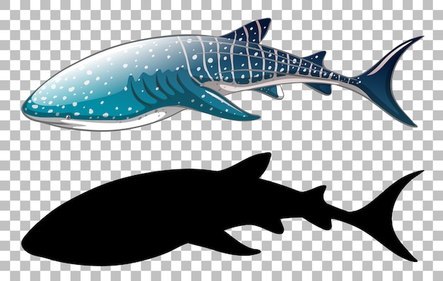 Vecteur gratuit requin baleine avec sa silhouette sur transparent