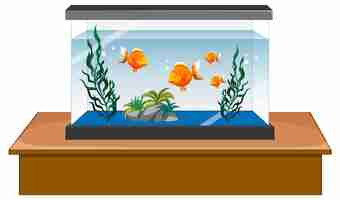 Vecteur gratuit réservoir d'aquarium avec des poissons d'or sur fond blanc