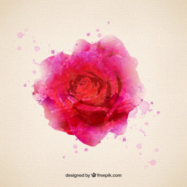 Rose dans le style d&#39;aquarelle