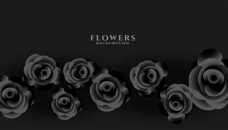 Vecteur gratuit rose noire sur fond sombre