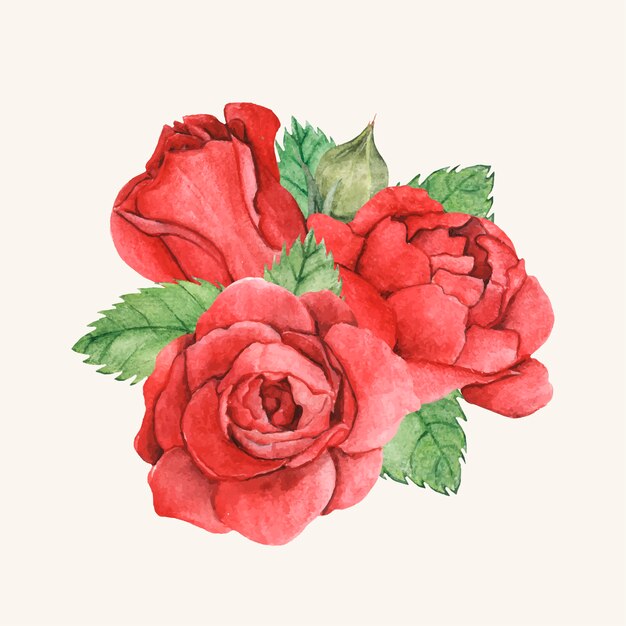 Rose rouge dessiné à la main isolé