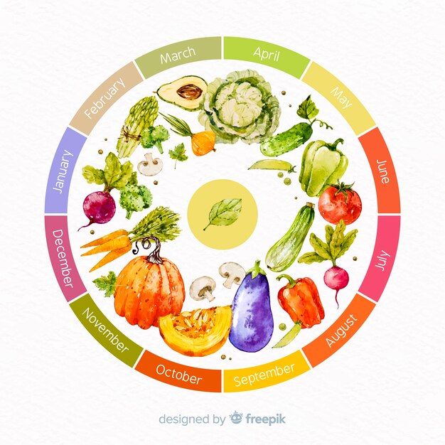 Roue aquarelle colorée de fruits et légumes de saison