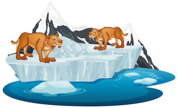 Sabertooth Sur L'iceberg D'hiver