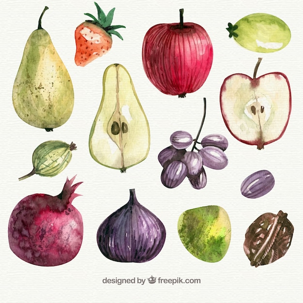 Vecteur gratuit des savoureux morceaux de fruits en style aquarelle